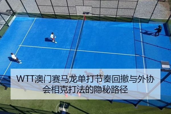 WTT澳门赛马龙单打节奏回撤与外协会相克打法的隐秘路径